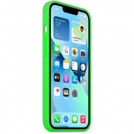   MItrifON  iPhone 13 Pro Max (6.7 )   Green  31 MItrifON 20529